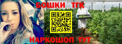 винт Обь